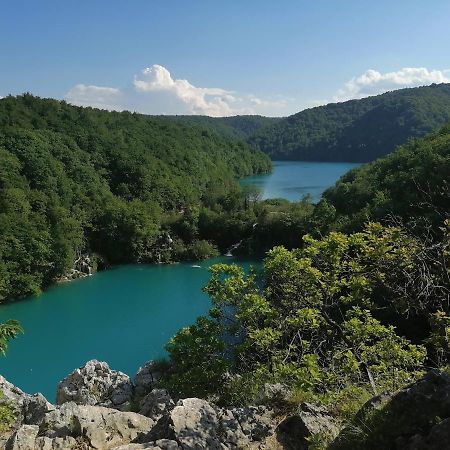 Apartman Jasmin Daire Čatrnja Dış mekan fotoğraf
