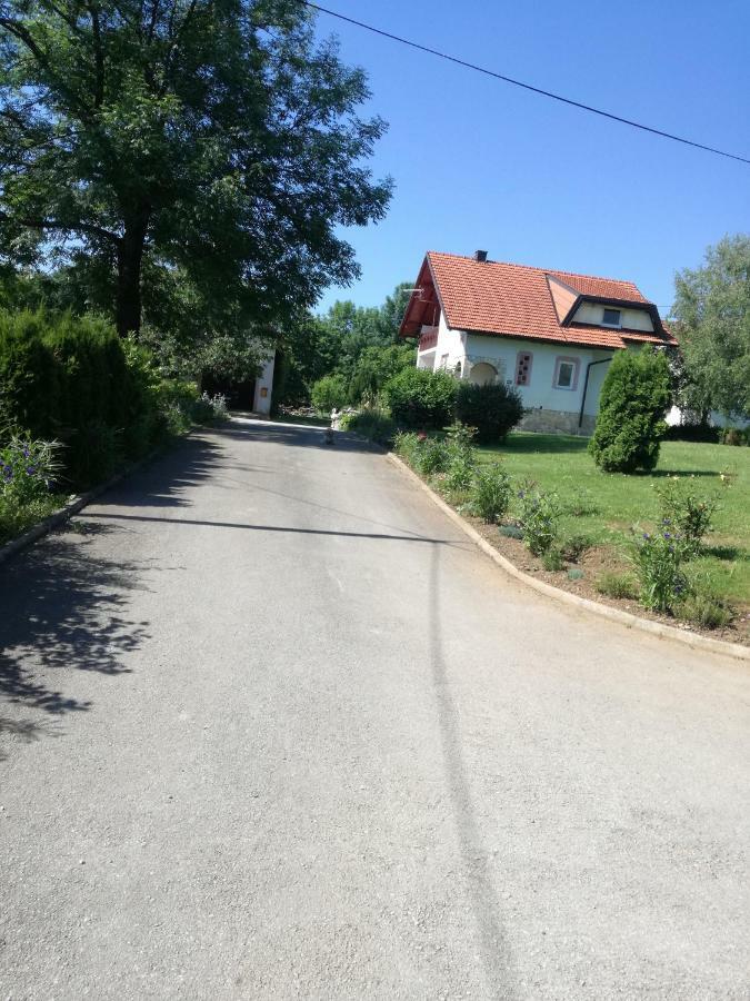 Apartman Jasmin Daire Čatrnja Dış mekan fotoğraf