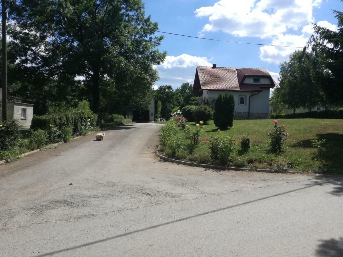 Apartman Jasmin Daire Čatrnja Dış mekan fotoğraf