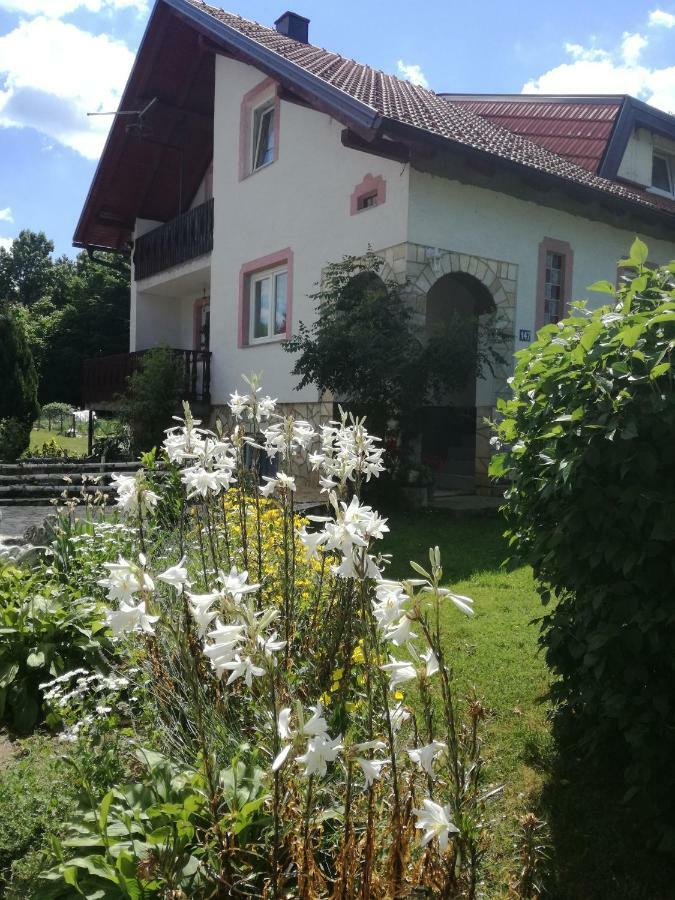 Apartman Jasmin Daire Čatrnja Dış mekan fotoğraf